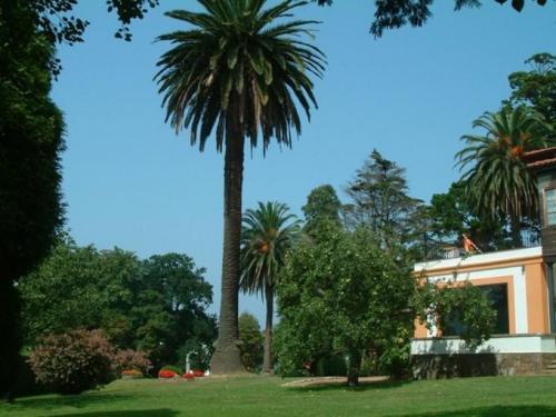 Quinta Duro Gijón